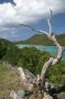 VI05 - 147 * St John, USVI.
